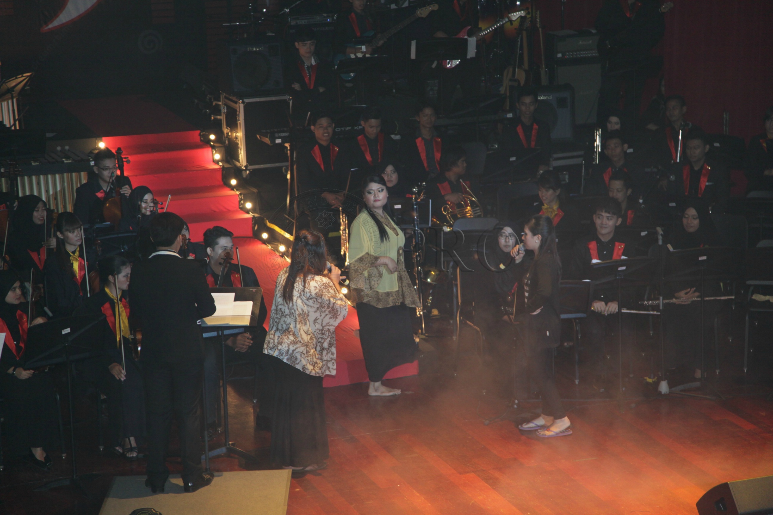 PRO 14 29 RARE IMG 0596